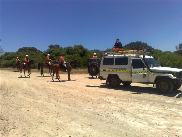 SES Mounted Section